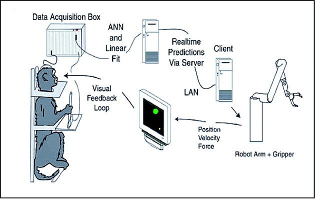 bci experiment on monkey, brain computer interface ppt