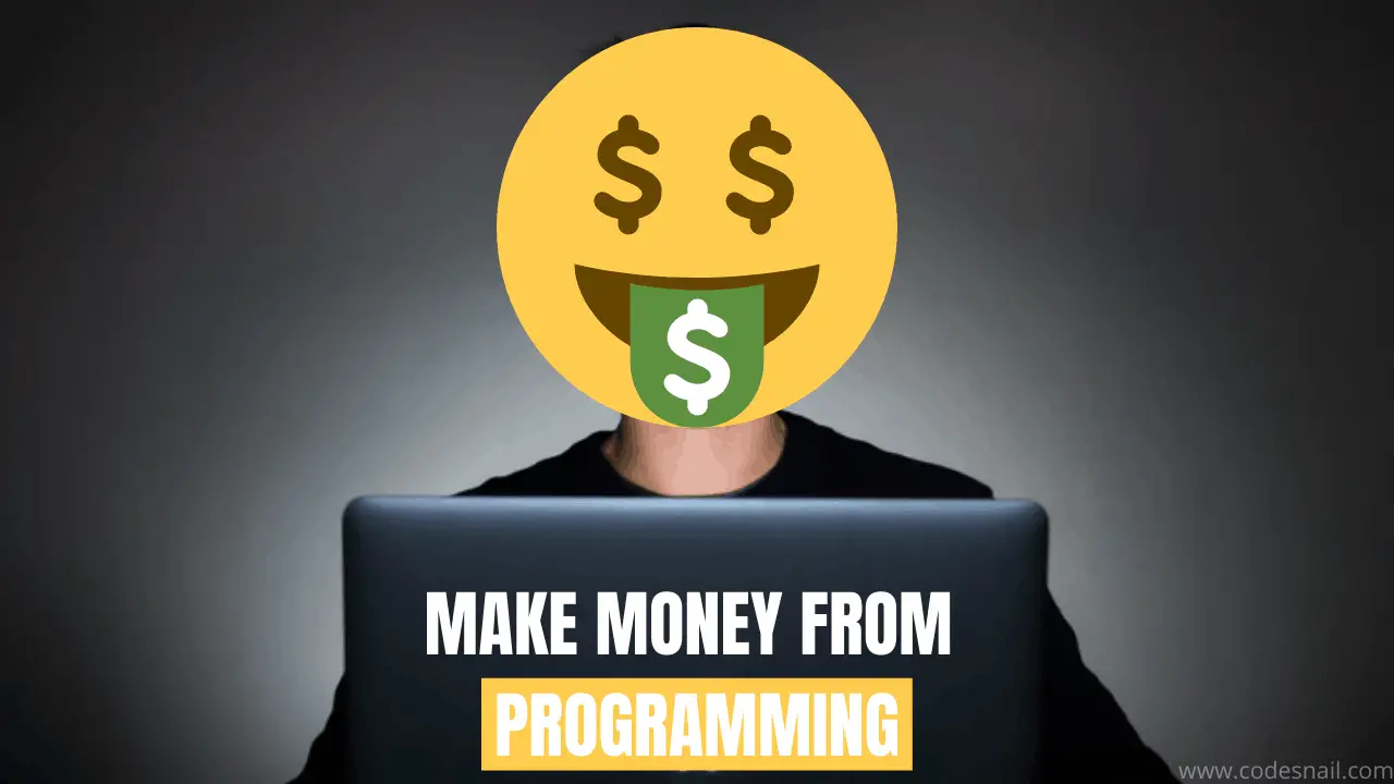 How To Make Money From Programming 🤑 [Online]