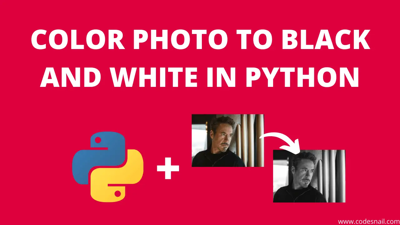 Convert Color Photo to Black and White in Python