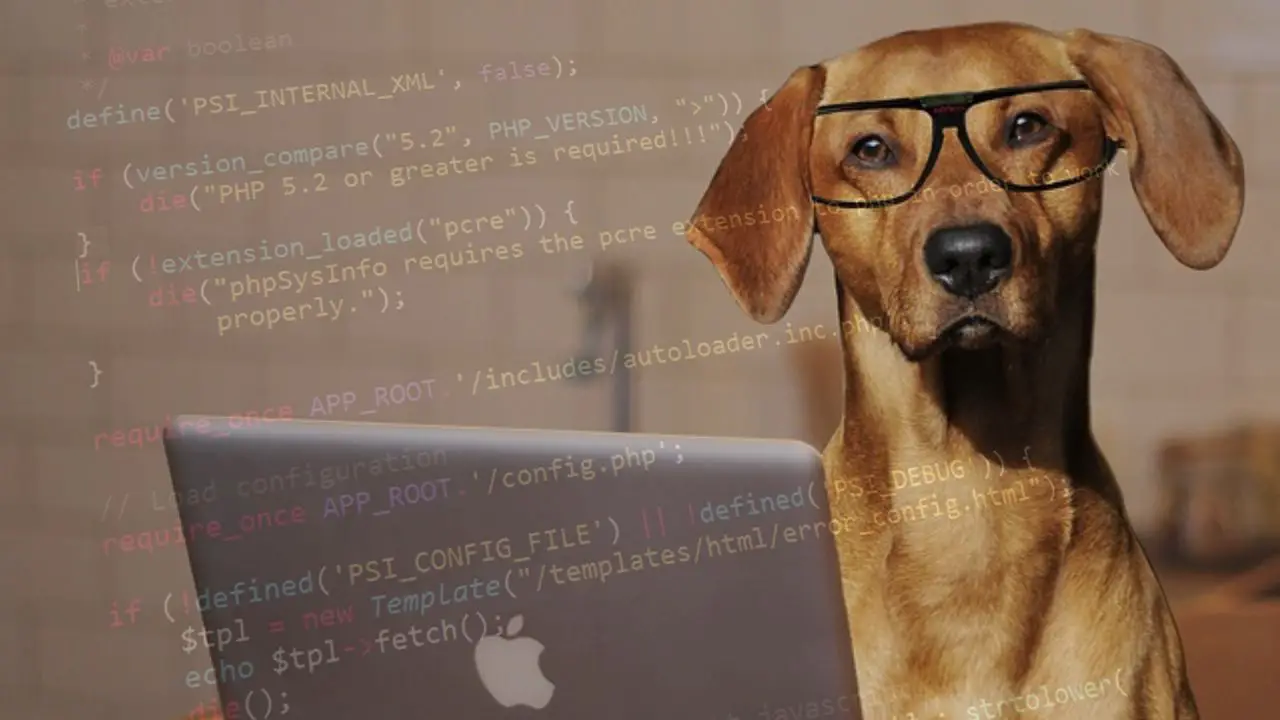 Top 5 Easiest Programming Language to Learn in 2019