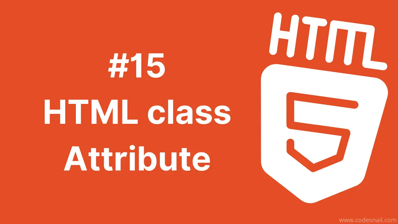 #15 HTML class Attribute
