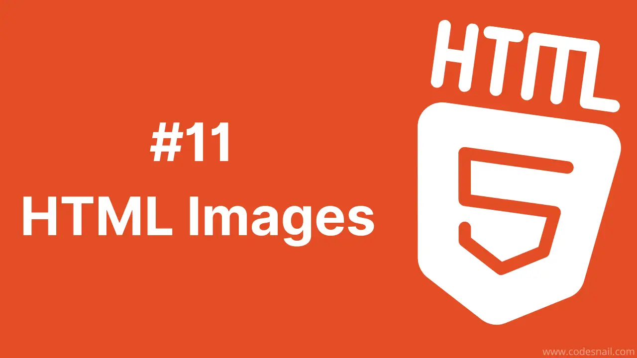 #11 HTML Images