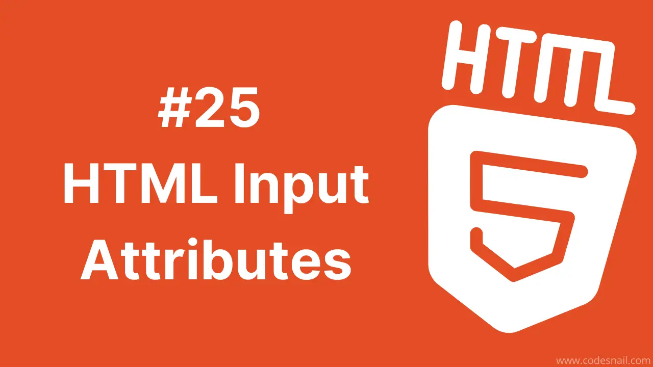 #25 HTML Input Attributes