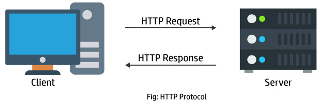 client server, introduction to web