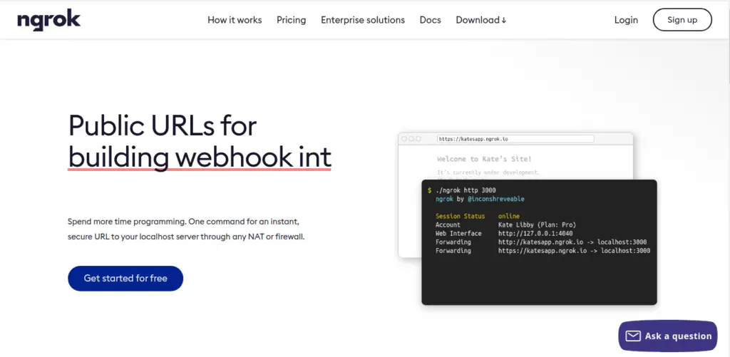 ngrok tools for web development